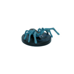 Wolf Spider